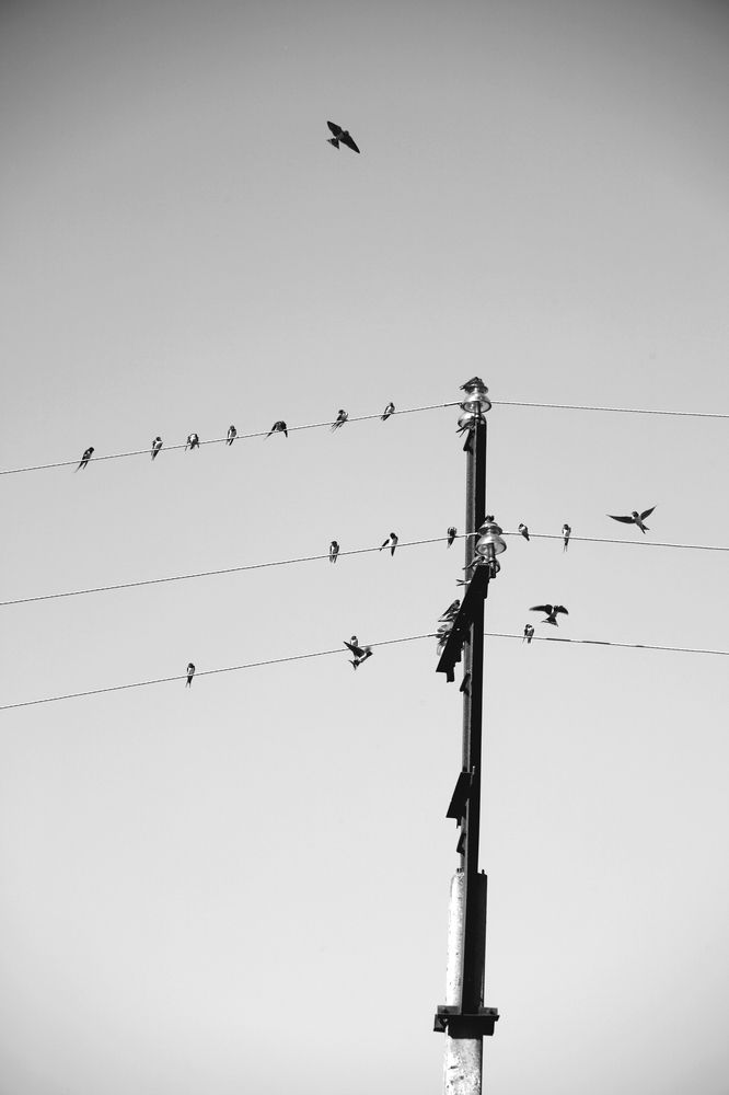 Photograph by Дарья Шацких