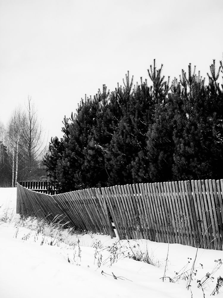 Photograph by Елена Ефимова