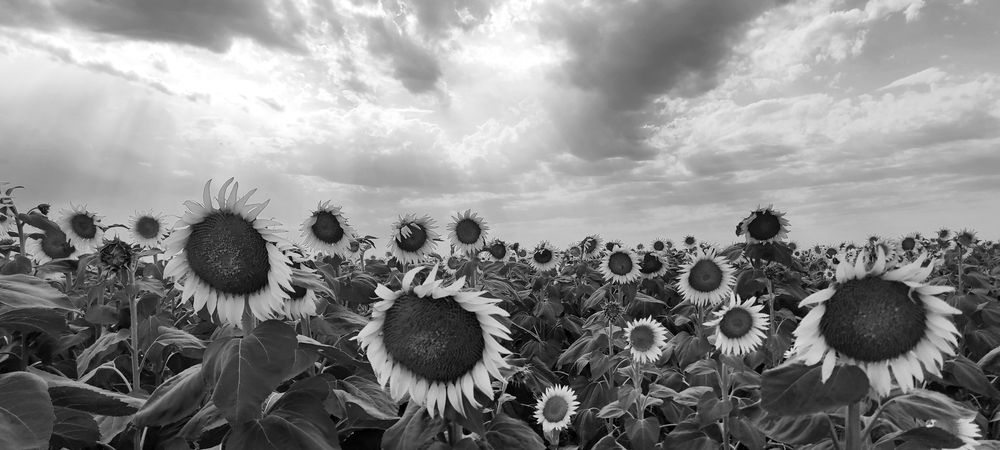 Photograph by Ирина Бочарова