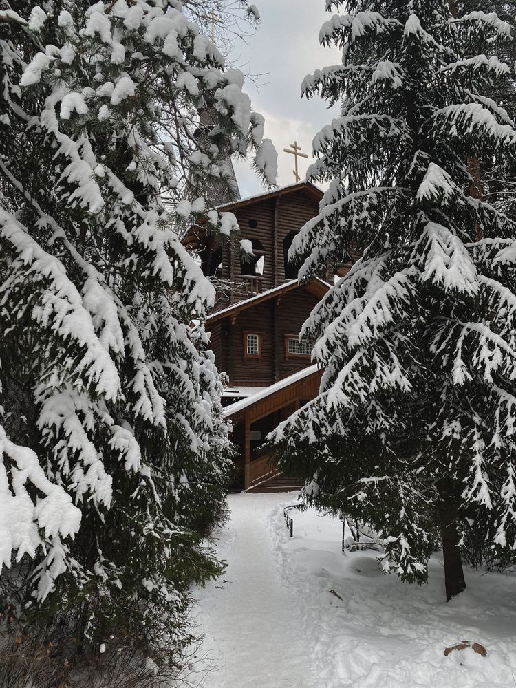 Photograph by Светлана Гошарова