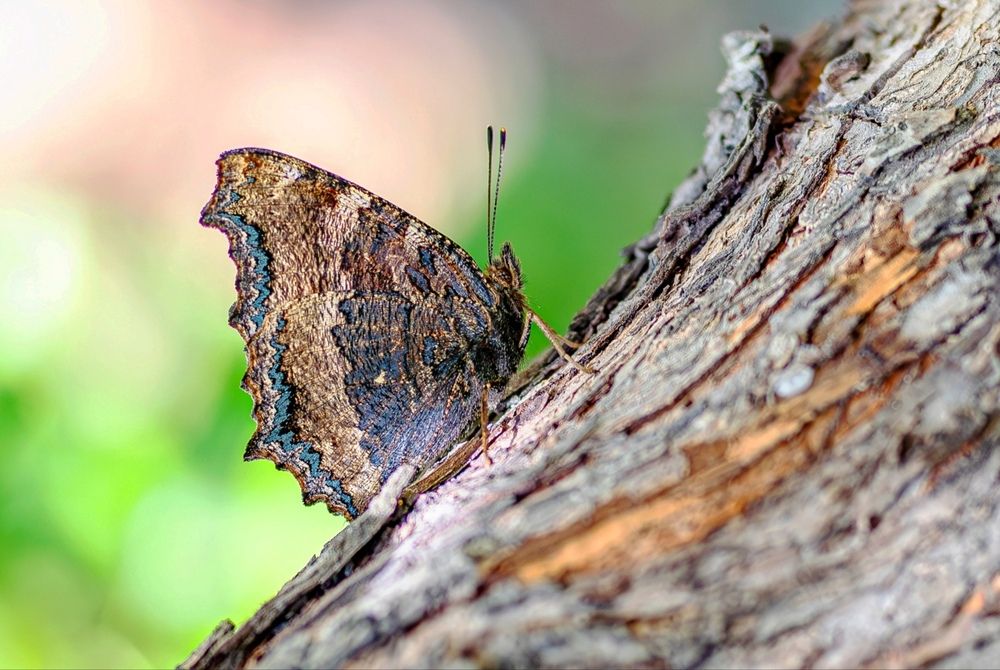 Фотография автора Дмитрий Кетов