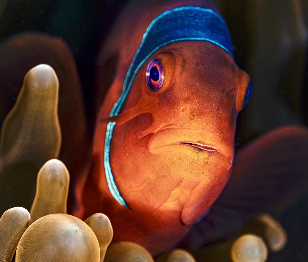 Photograph by Ceci Ver