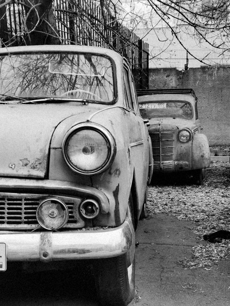 Photograph by Александра