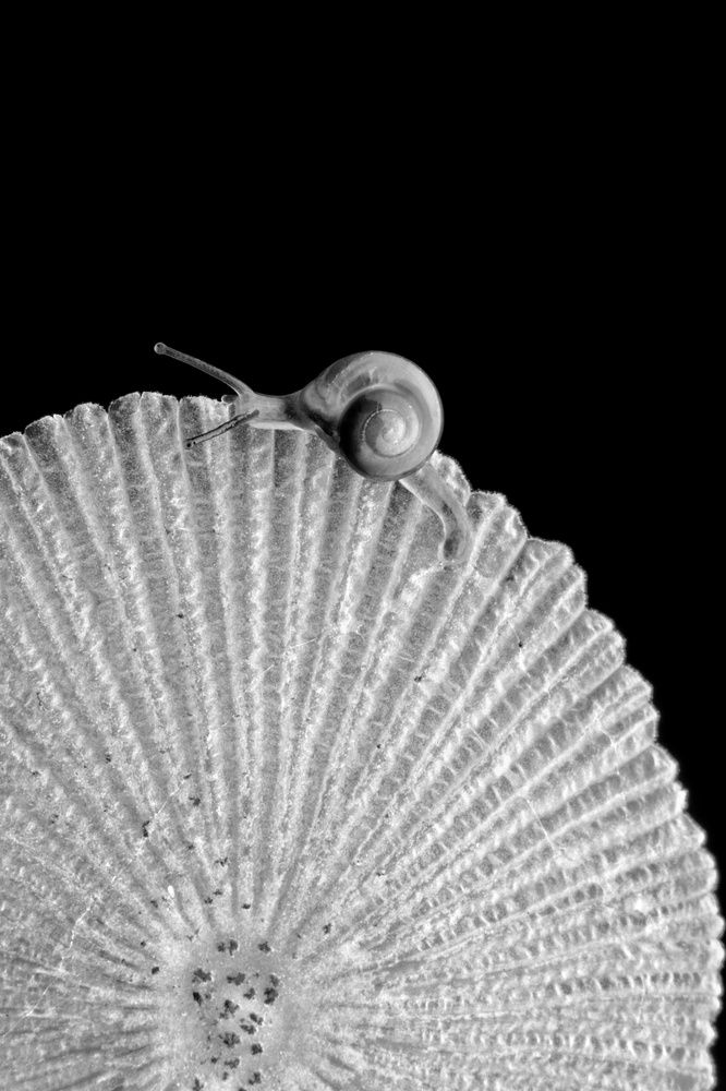 Фотография автора Rohit Maurya