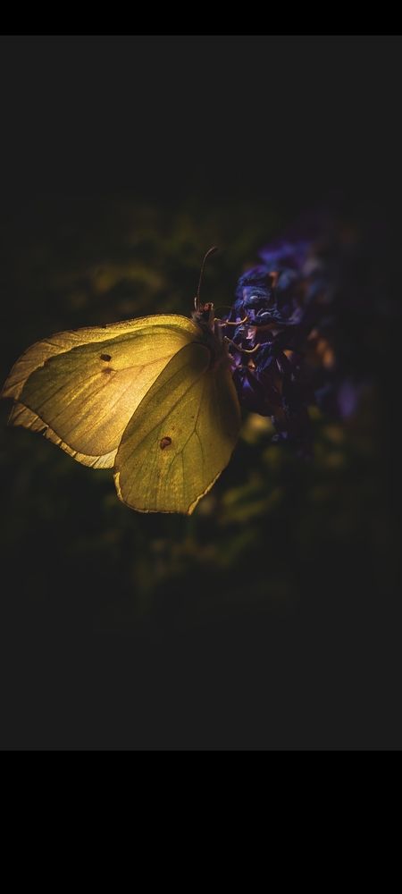 Photograph by Анечка Машенькина