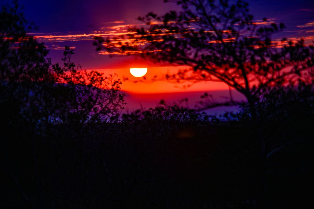 Photograph by Yrii Usoltsev