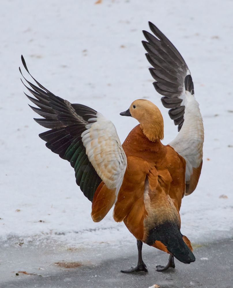 Photograph by Сергей Слукин