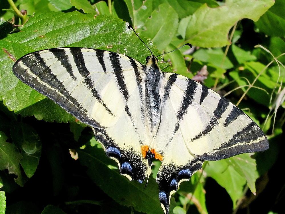 Фотография автора Александр Челмодеев