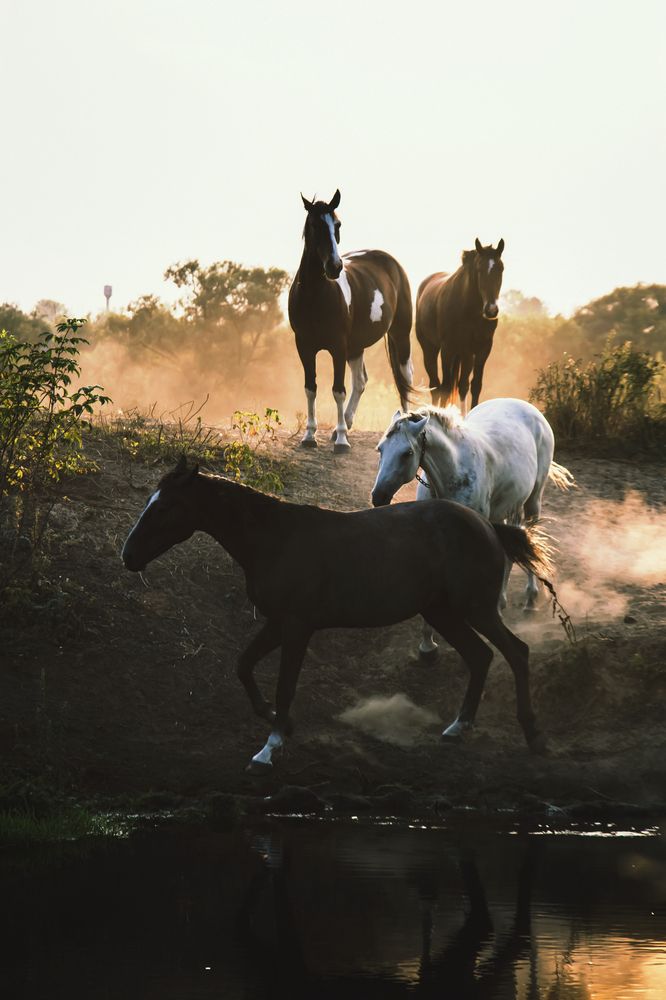 Photograph by Дарья Шацких