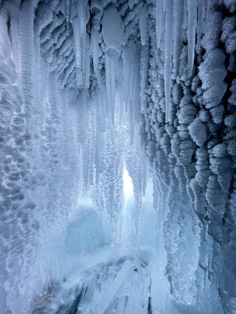 Photograph by Алина Сущинская