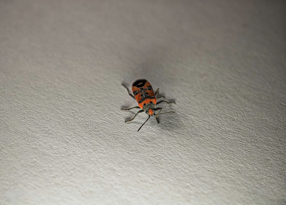 Photograph by Сергей Гибков