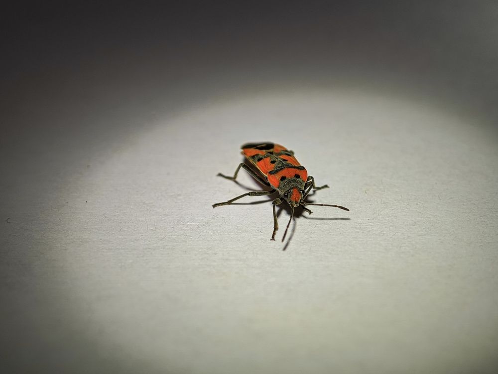 Photograph by Сергей Гибков