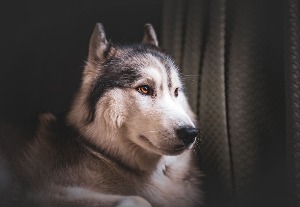 Photograph by Марина Соловьева