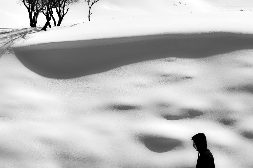 Photograph by Siavash Zarei