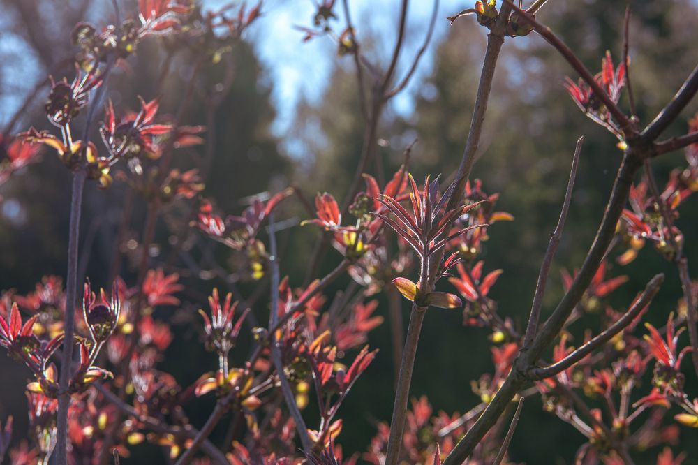 Фотография автора Екатерина Лапаева