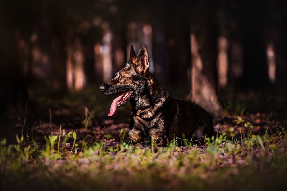 Photograph by Марина Соловьева