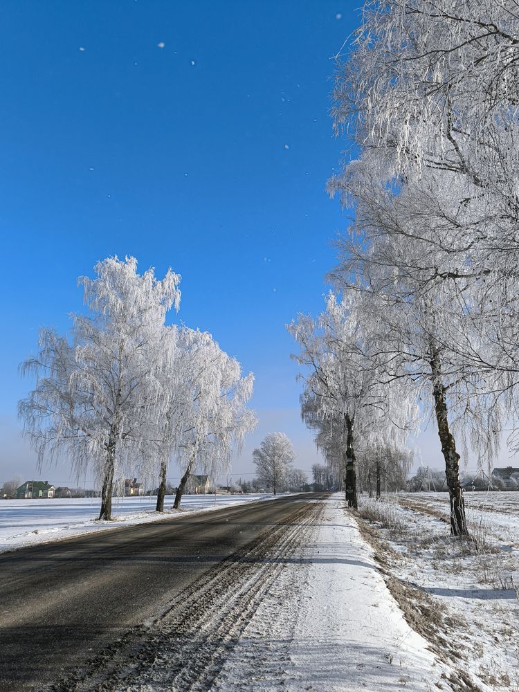 Photograph by Людмила Емельянчикова