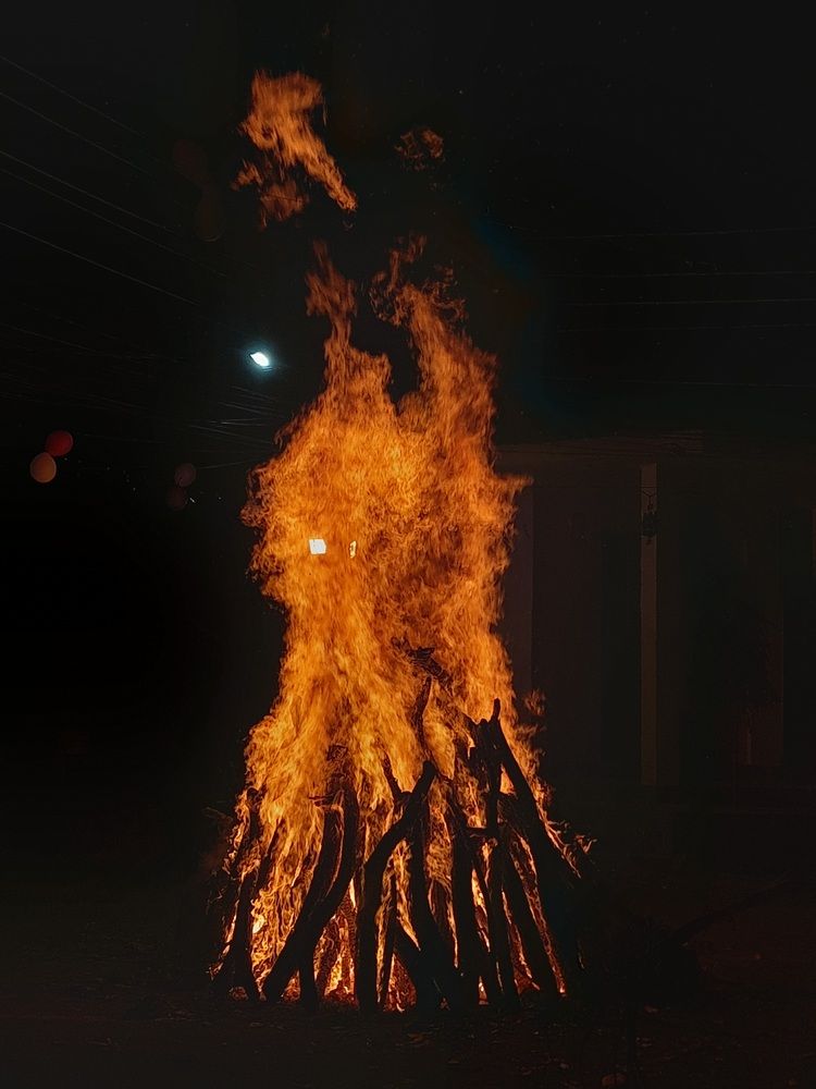 Photograph by BHUPENDRA LODHI