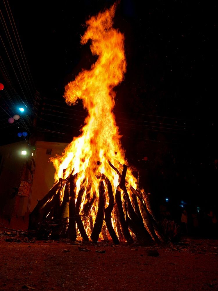 Photograph by BHUPENDRA LODHI