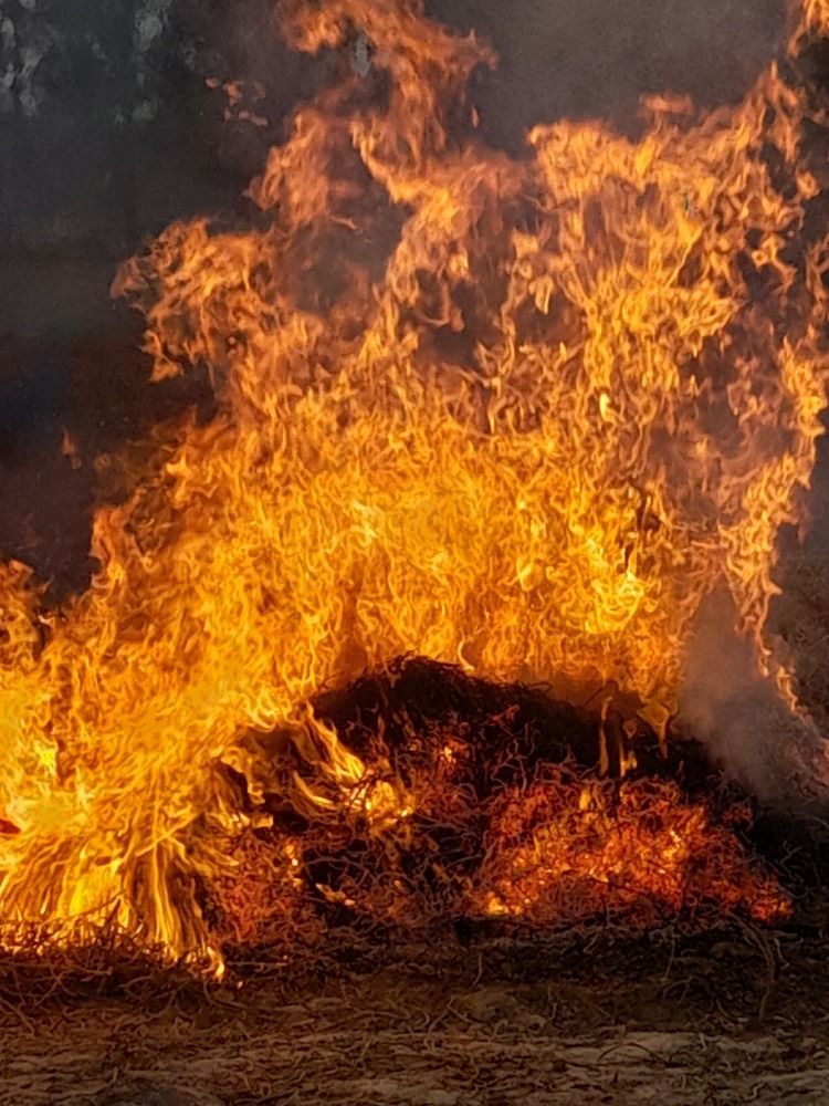 Photograph by BHUPENDRA LODHI