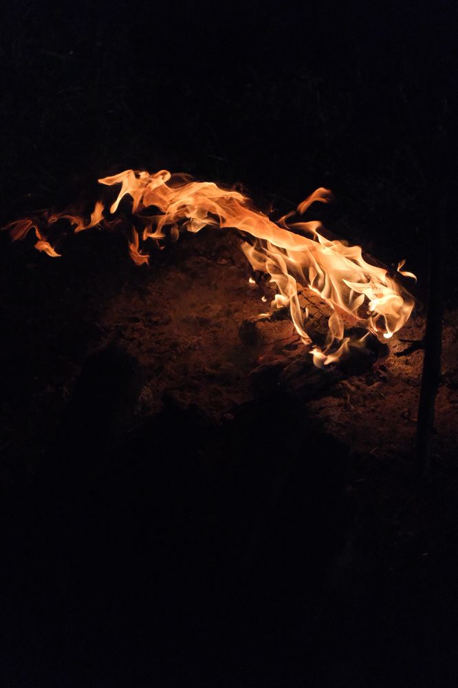 Photograph by Ирина Дегтярева