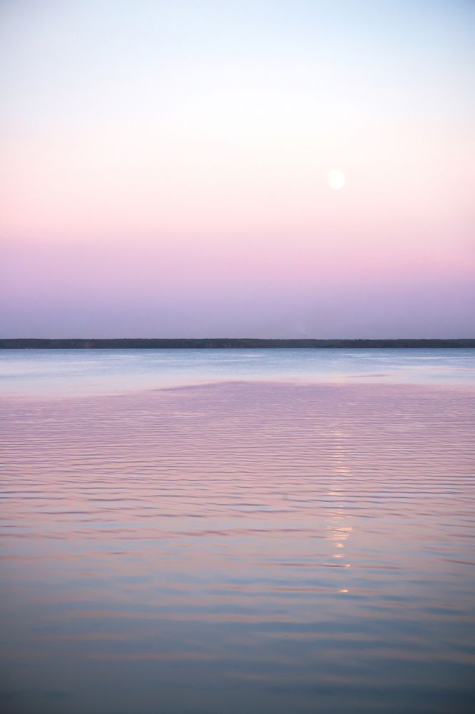 Photograph by Дарья Шацких