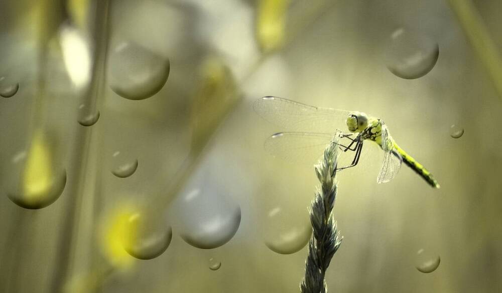 Photograph by Сергей Клапишевский