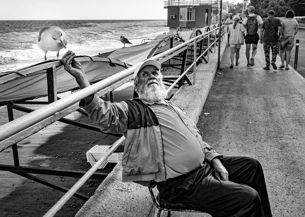 Photograph by Алексей Окунеев