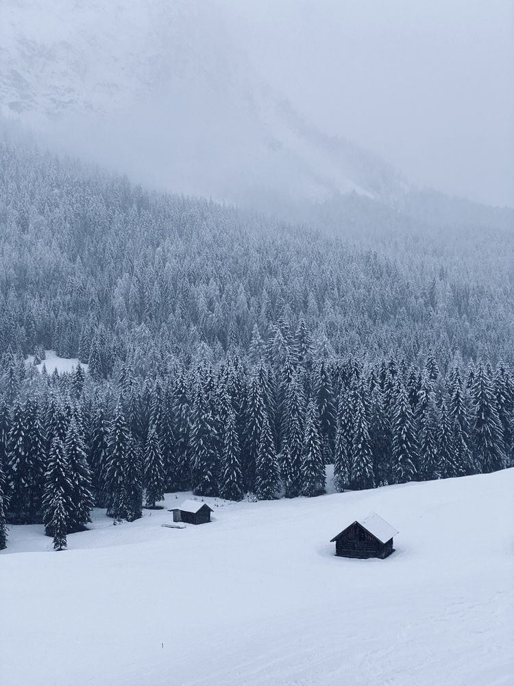 Photograph by Наталья Посашко