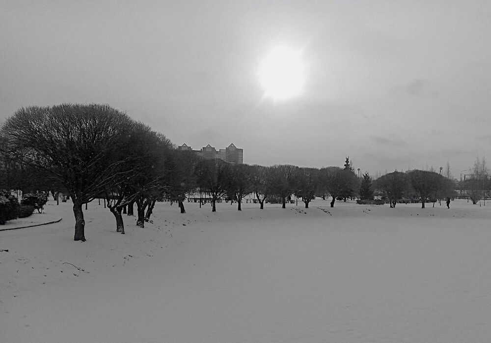 Photograph by Zakharov Matvey