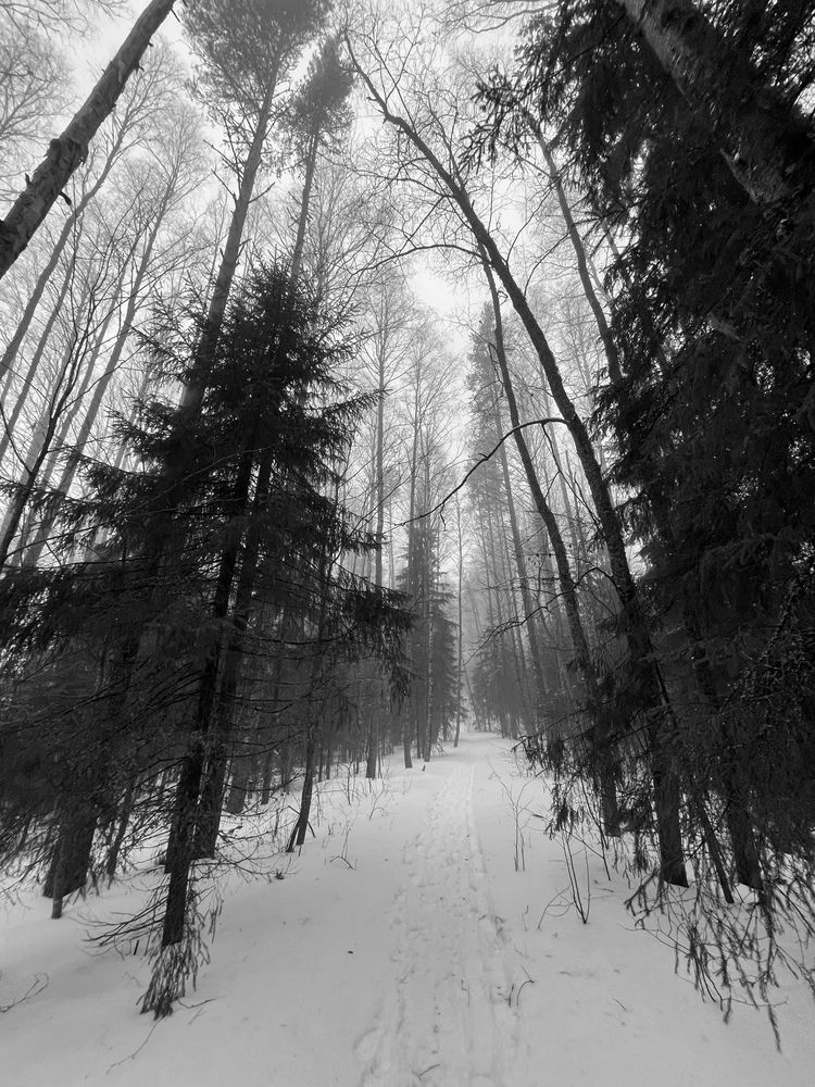 Photograph by Ковригина Евгения