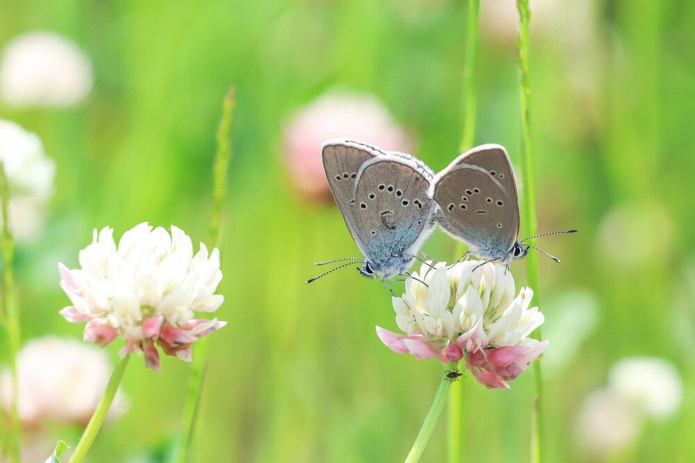 Photograph by Денис Гайдуков