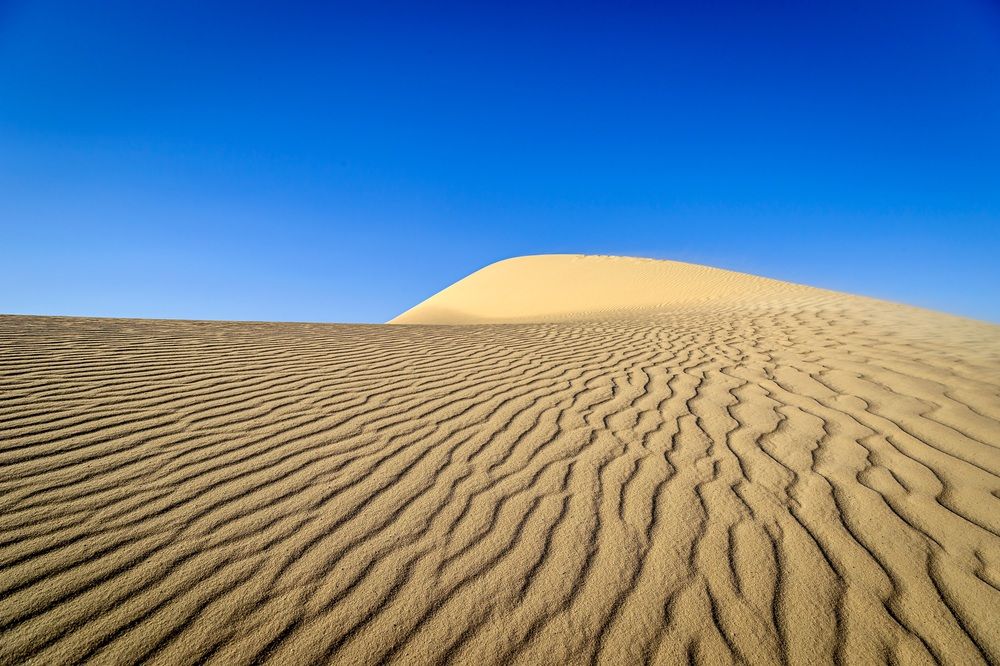 Photograph by Karim Shokair