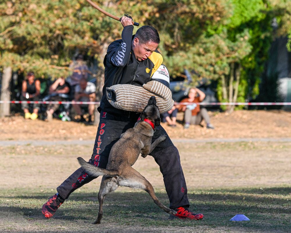 Фотография автора Дмитрий Дуров