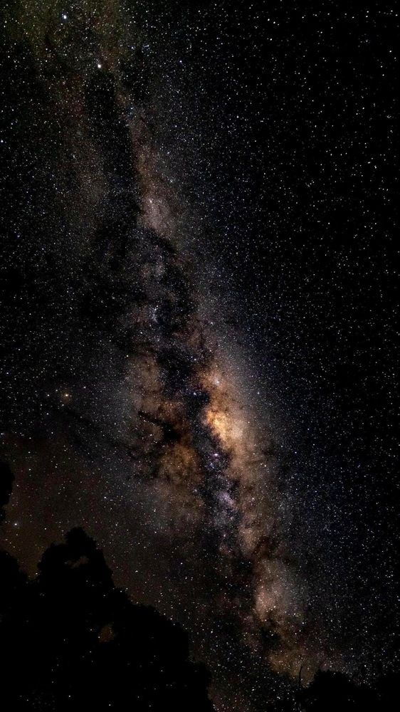 Photograph by Janet Williams