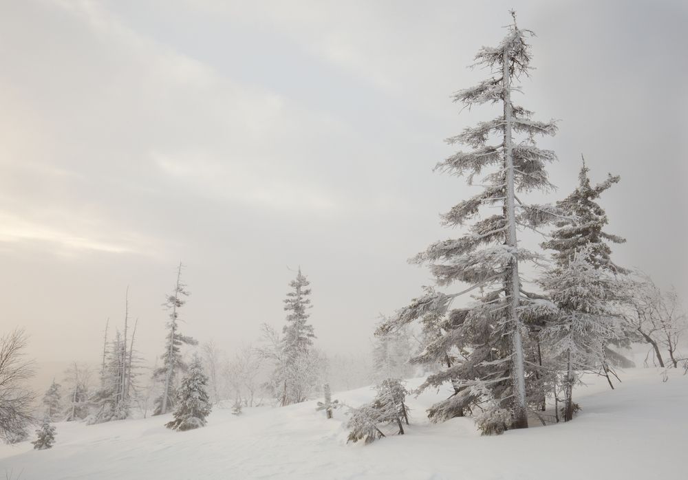 Photograph by Елена Хорохорина