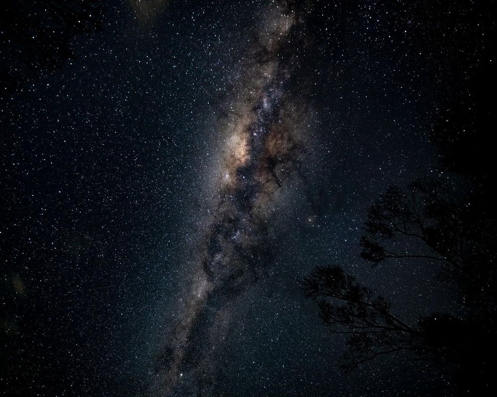 Photograph by Janet Williams