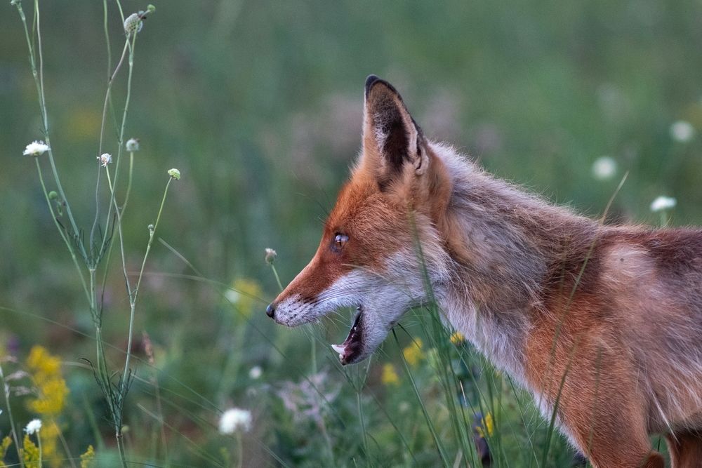 Photograph by Арсен Алабердов
