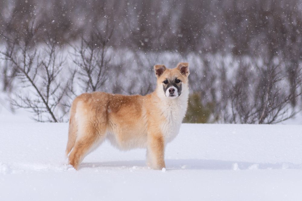 Photograph by Вероника Романенко
