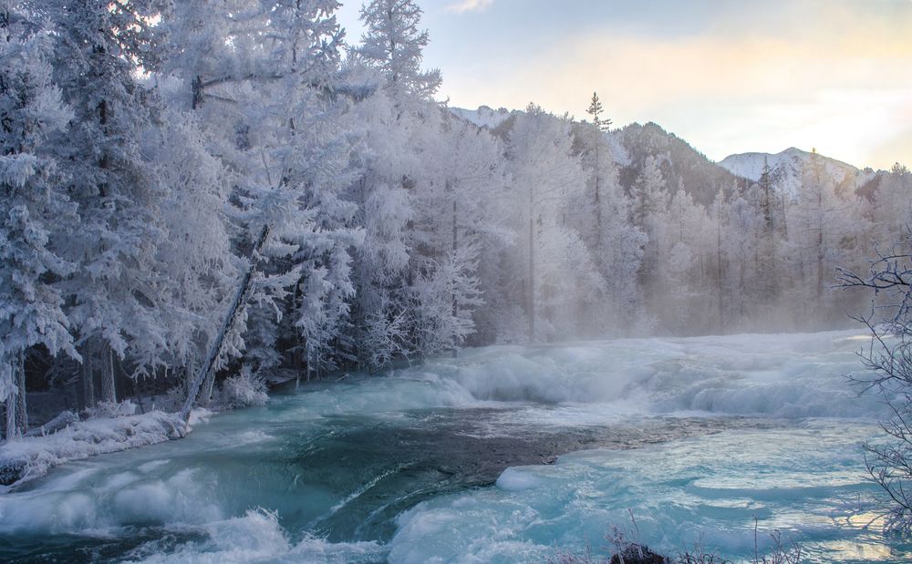 Photograph by Светлана Шишкова