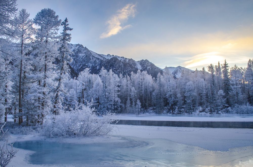 Photograph by Светлана Шишкова