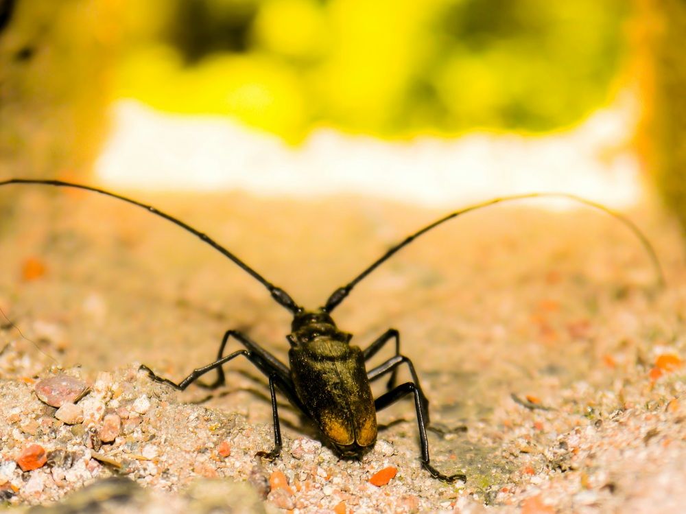 Photograph by Владислав Моисеев