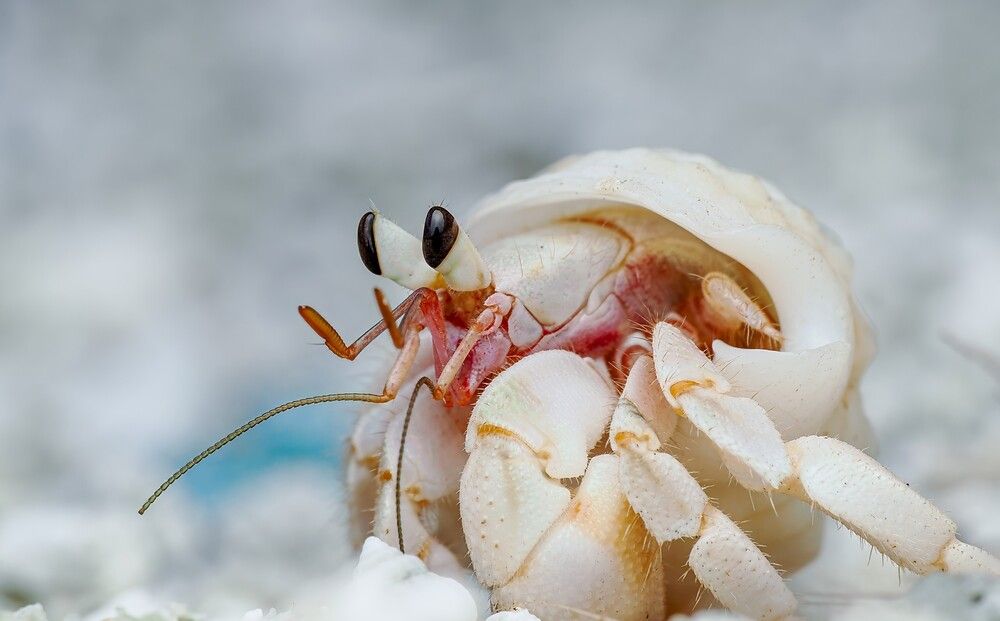 Photograph by Hardeep Solanki