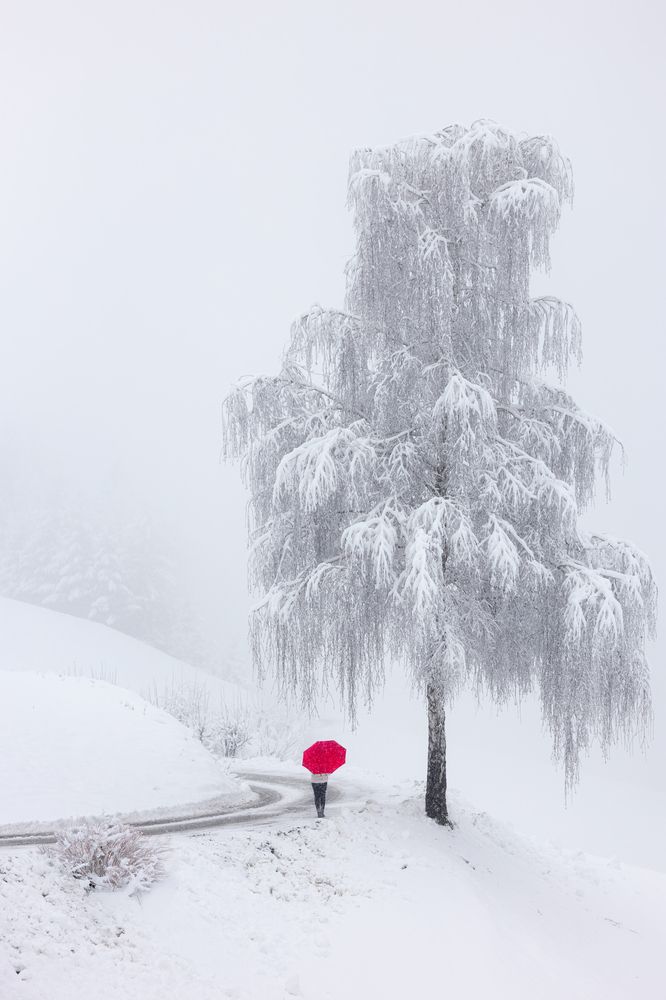 Photograph by Valentin Bițoi