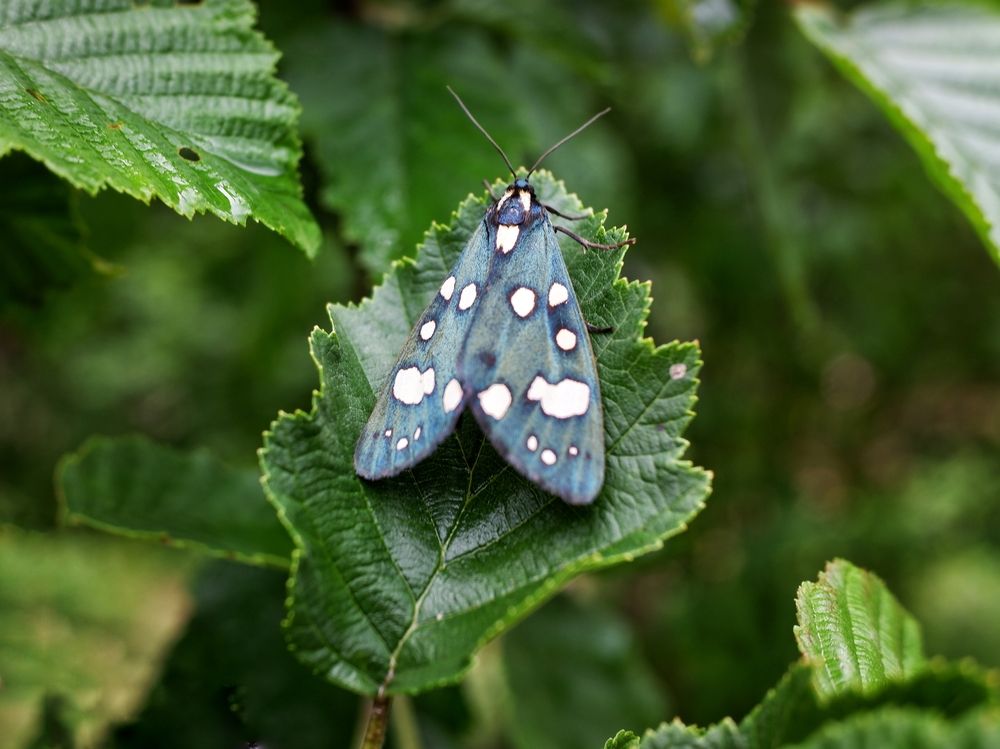 Photograph by Зорин Миша
