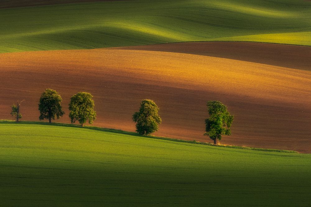 Photograph by Valentin Bițoi