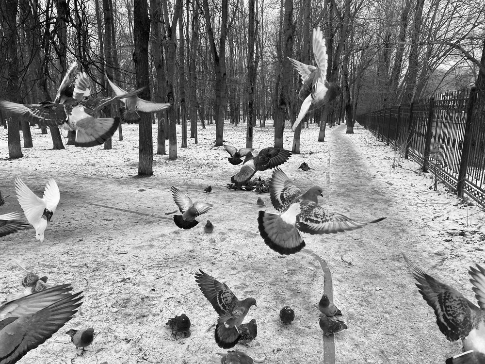 Photograph by Татьяна