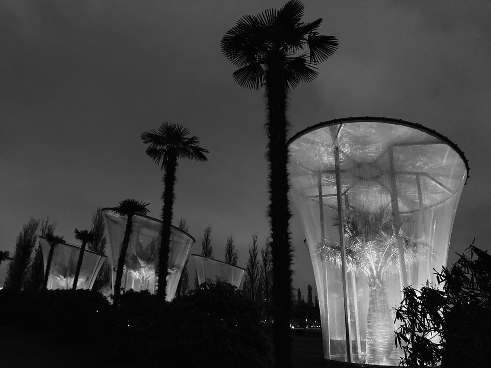 Photograph by Фролова Альфия