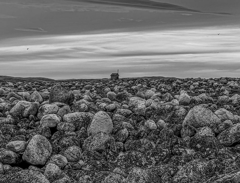 Photograph by Елена Данченко