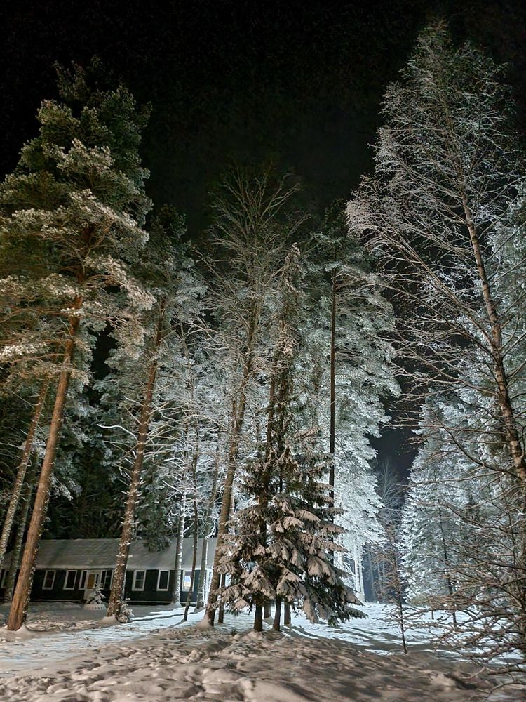 Photograph by Виктория Егорычева